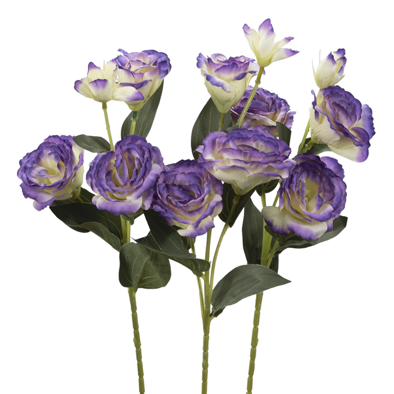 Lisianthus artificiali