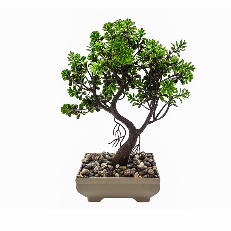 Bonsai finto – Pino giapponese 25×17,5 cm