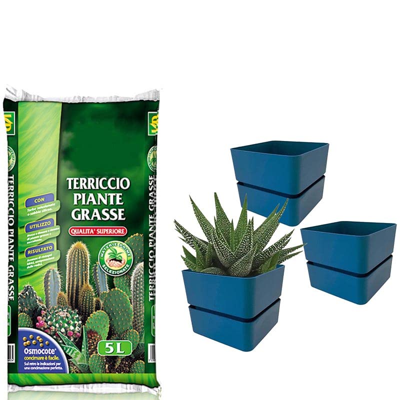 KIT terriccio per piante grasse con SET da 3 vasi