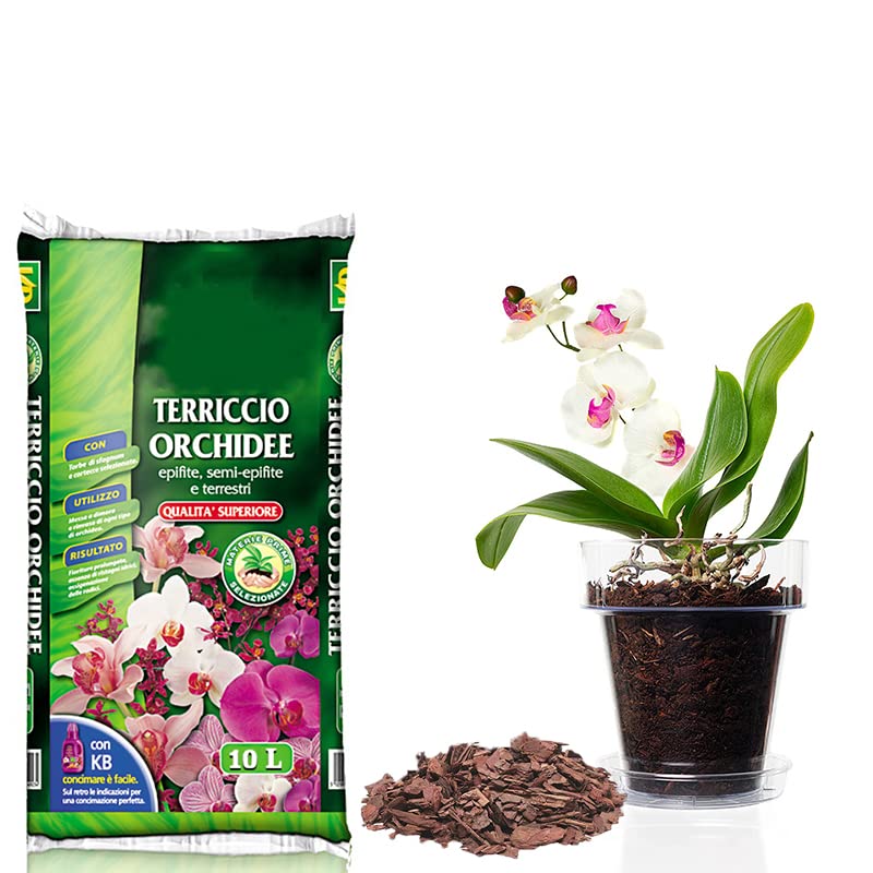 Terra per orchidee con vaso trasparente